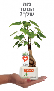 עציצים מתנות לטו בשבט, עציצים ממותגים ומארזי שי