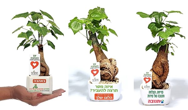 עץ אהבה ממותג, מסר של אהבה, מתנות לחגים, שי בכנסים ואירועים עץ אהבה ממותג, מסר של אהבה, מתנות לחגים, שי בכנסים ואירועים