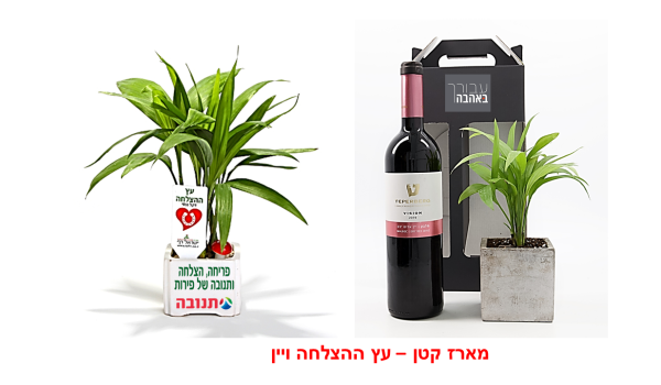 מארז קטן הצלחה ויין.png2 מארז קטן הצלחה ויין.png2