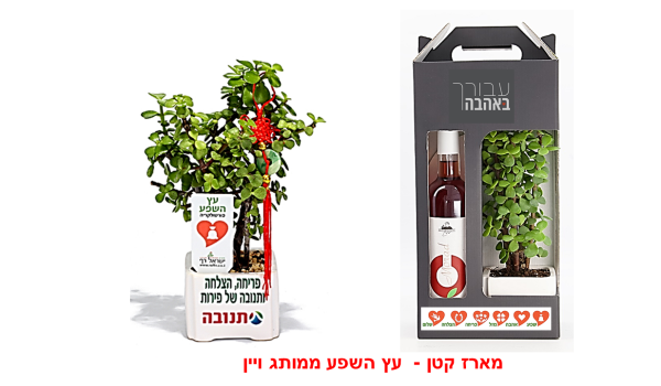 מארז קטן שפע ויין.png2 מארז קטן שפע ויין.png2