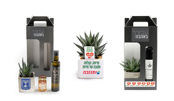 מארז שי קטן מסר של פריחה ומעדנים.png2 מארז שי קטן מסר של פריחה ומעדנים.png2