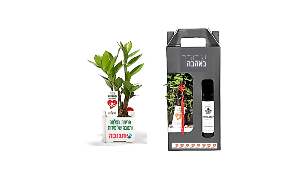 מארז שי, שגשוג ויין.png2 מארז שי, שגשוג ויין.png2