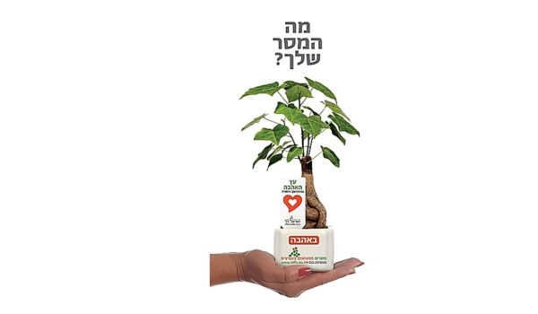 מה המסר שלך שברצונך להעביר לאנשים החשובים לך, עציץ עץ אהבה ממותג מה המסר האישי שלכם ממותג בעציץ